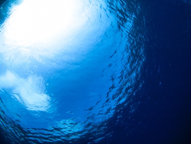 海の中の夢占い