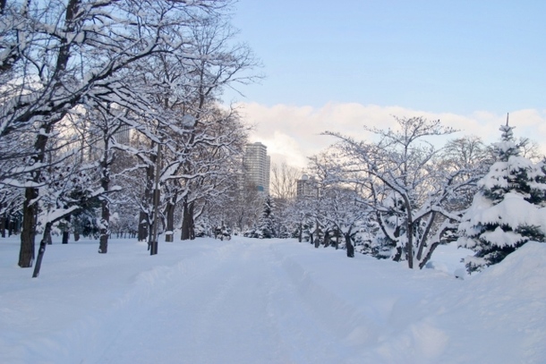 大雪の夢占い